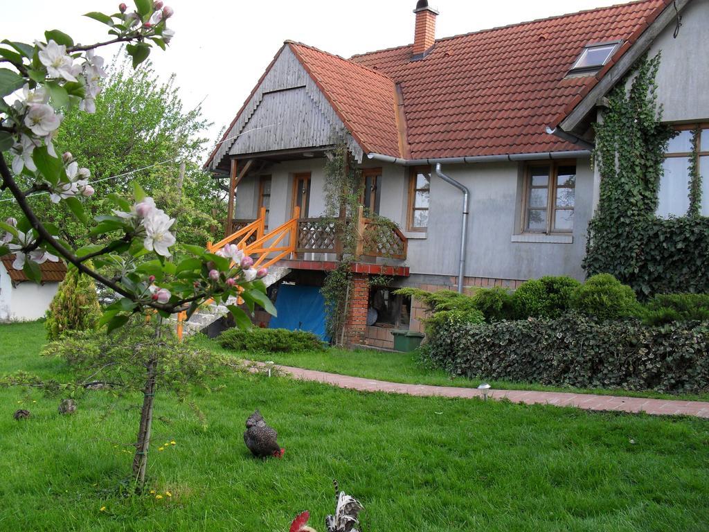 Hoffmann Vendeghaz Daire Nagyrákos Oda fotoğraf