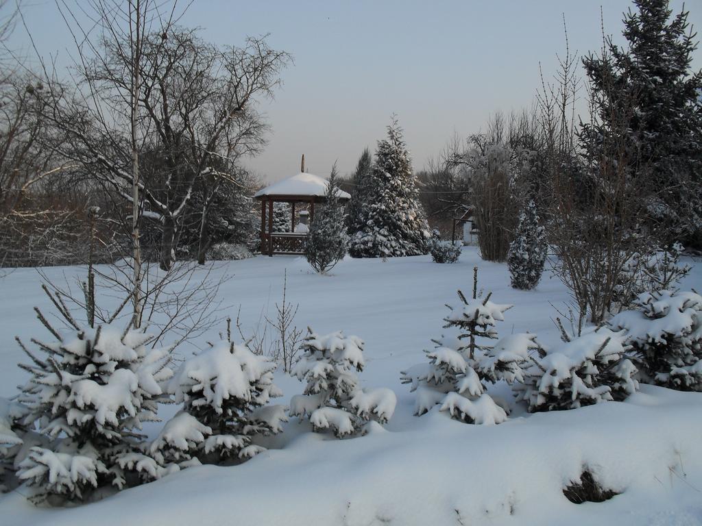 Hoffmann Vendeghaz Daire Nagyrákos Oda fotoğraf